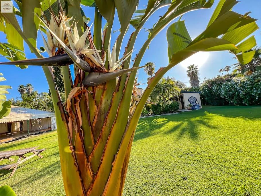 Finca Tierra Sana Estepona Luaran gambar