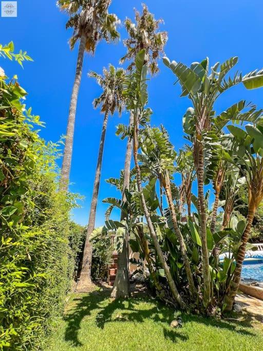 Finca Tierra Sana Estepona Luaran gambar