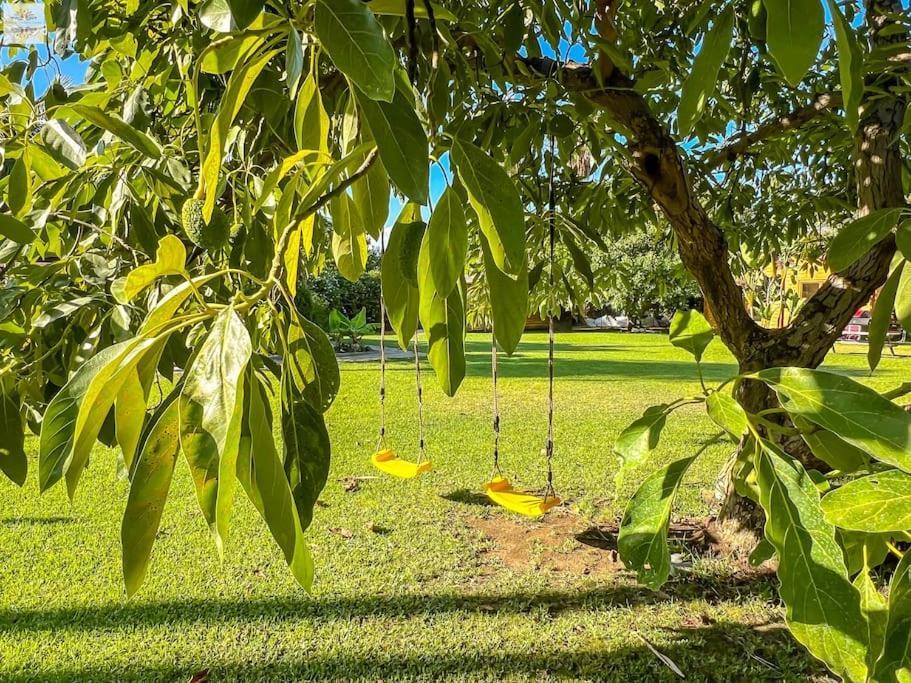 Finca Tierra Sana Estepona Luaran gambar